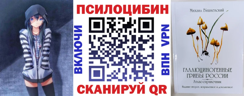 где можно купить наркотик  Демидов  Галлюциногенные грибы прущие грибы 